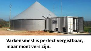 Nieuws - Artikel - Varkensmest Thumbnail