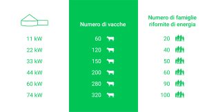 I Nostri Prodotti - mucche per la produzione di energia - Biolectric