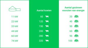 Onze Installatie - Energieproductie Biolectric