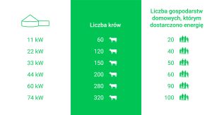 Nasza Instalacja - krowy produkujące energię - Biolectric