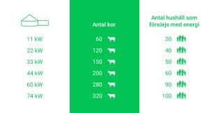 Var Installation - Energiproduktion av kor - Biolectric